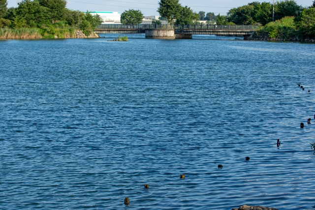 白岡市柴山沼