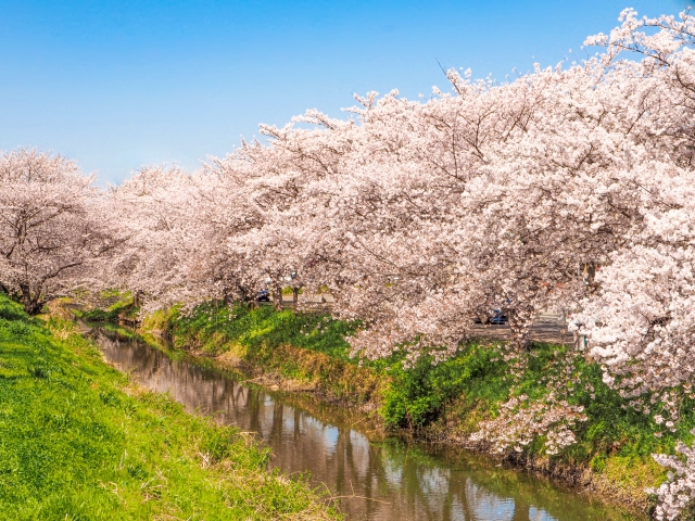 宮代町