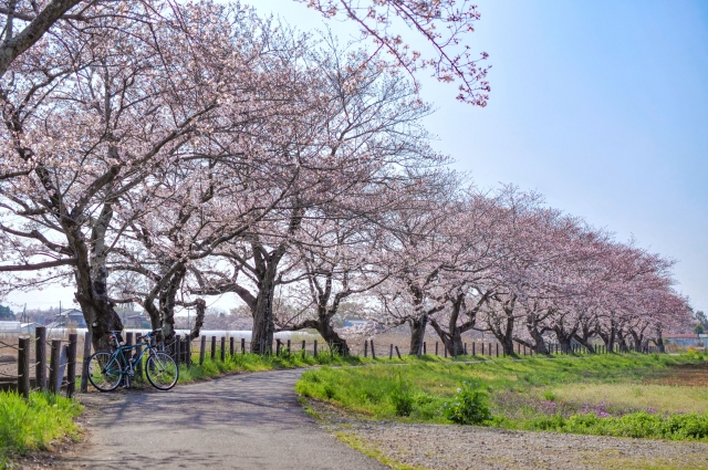 宮代町